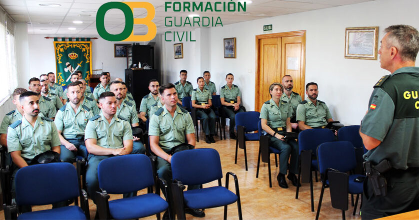 Plataforma Online como complemento a la Academia